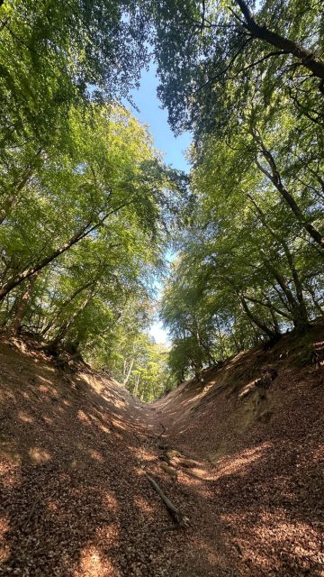What amazing scenes from Les Gets this weekend! It doesn’t matter your skill level. Riding your bike is one of the most enjoyable things you can do.